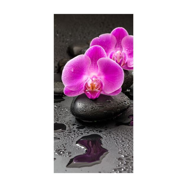 tapete flor Pink Orchid Flower On Stones With Drops