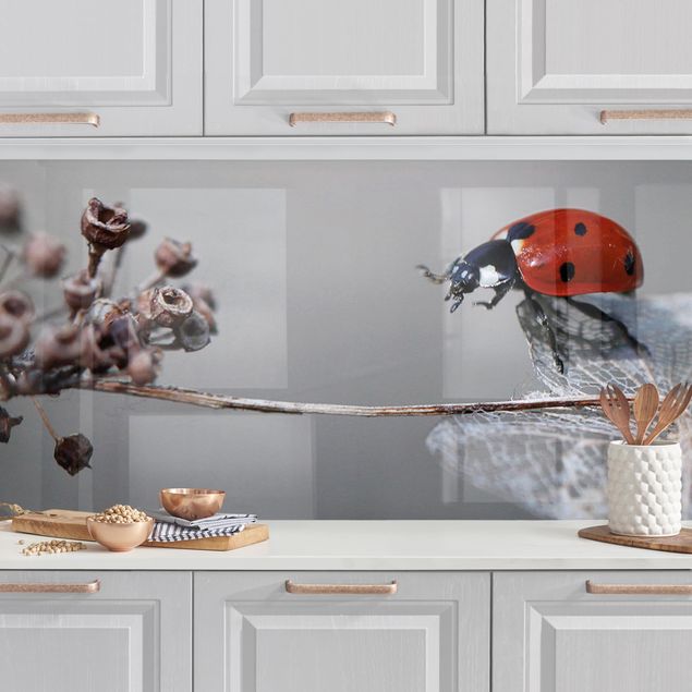 decoraçao cozinha Ladybird On Hydrangea