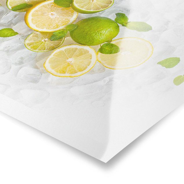 Posters Citrus Fruit On Ice Cubes