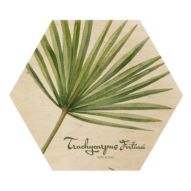 quadros em madeira para decoração Watercolour Botany Trachycarpus Fortunei