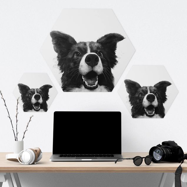 Quadros hexagonais Illustration Dog Border Collie Black And White Painting