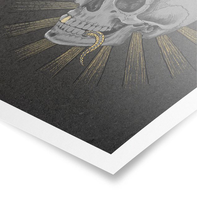 Quadros pretos Illustration Skull And Snake Black Gold