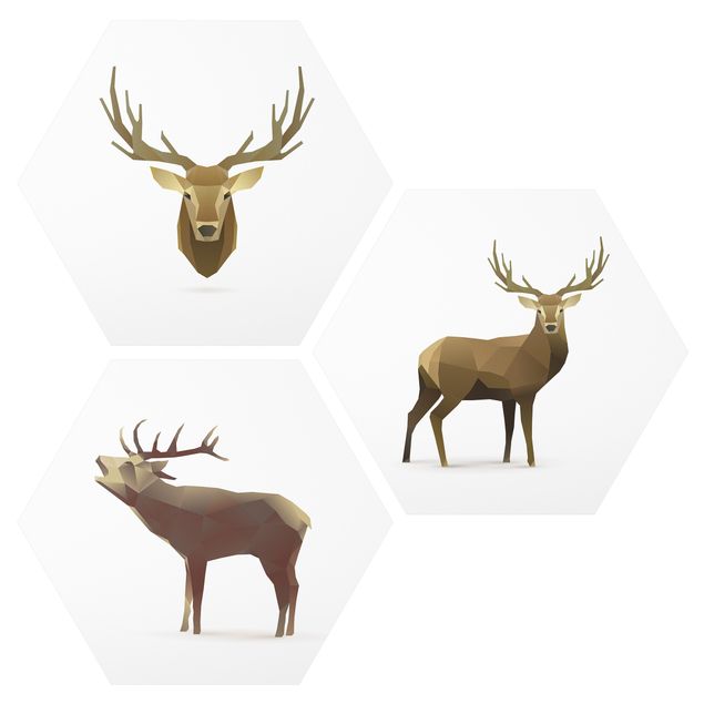 Quadros animais Poligon Deer Collection