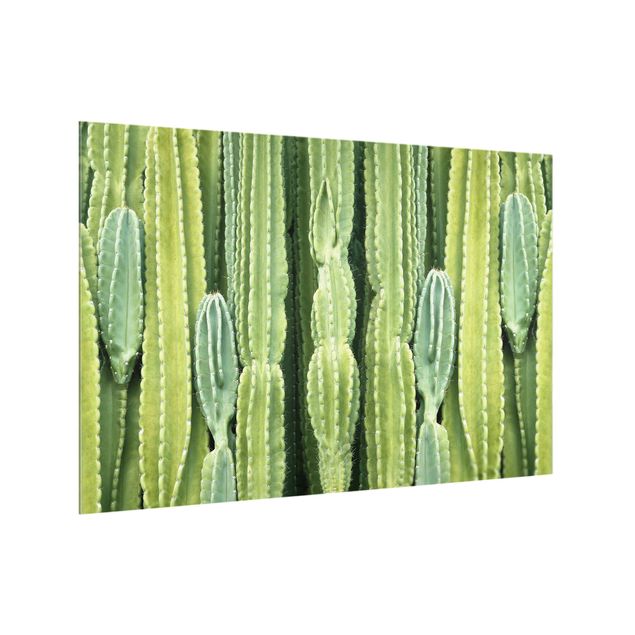painel anti salpicos cozinha Cactus Wall