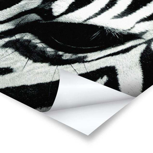 quadros preto e branco para decoração Zebra Crossing