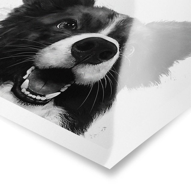 Quadros preto e branco Illustration Dog Border Collie Black And White Painting