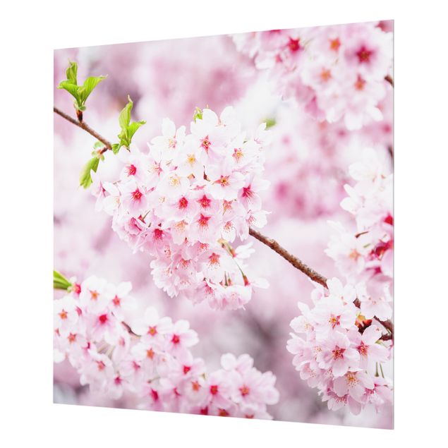 Painel anti-salpicos de cozinha Japanese Cherry Blossoms