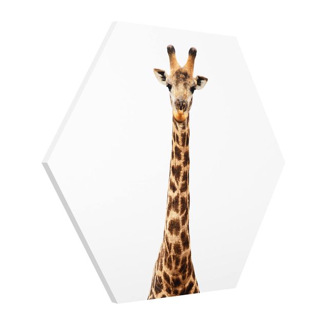 quadro animais quarto bebé Giraffe head