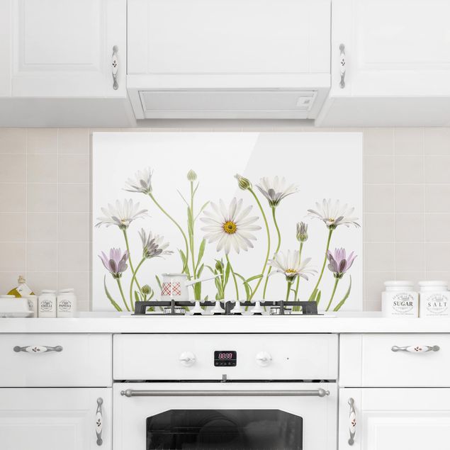 Painel anti-salpicos de cozinha flores Cape - Daisy