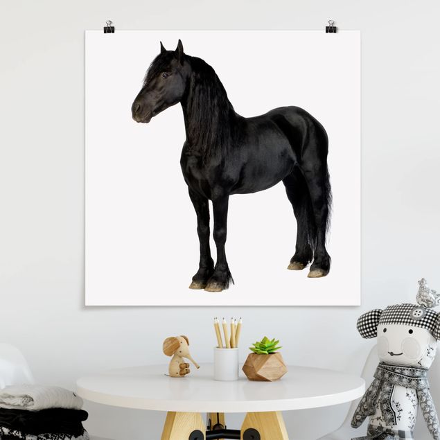 quadro de cavalo Friesian