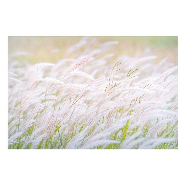 Quadros magnéticos flores Soft Grasses