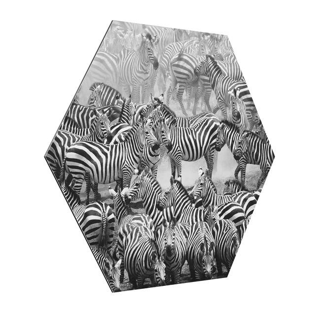 quadros modernos para quarto de casal Zebra herd II