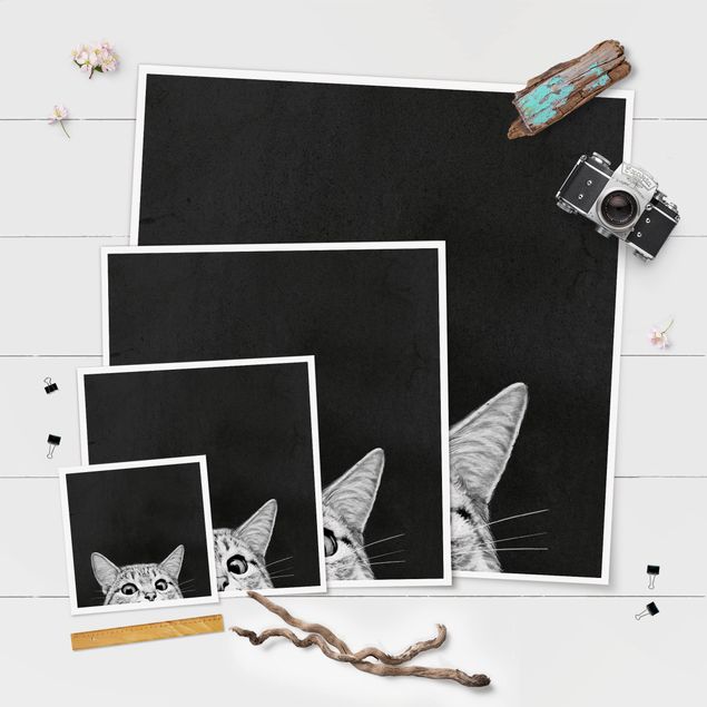 quadros preto e branco para decoração Illustration Cat Black And White Drawing