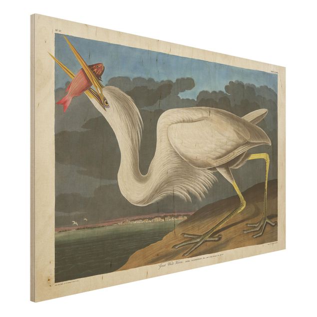 decoraçao cozinha Vintage Board Great White Egret