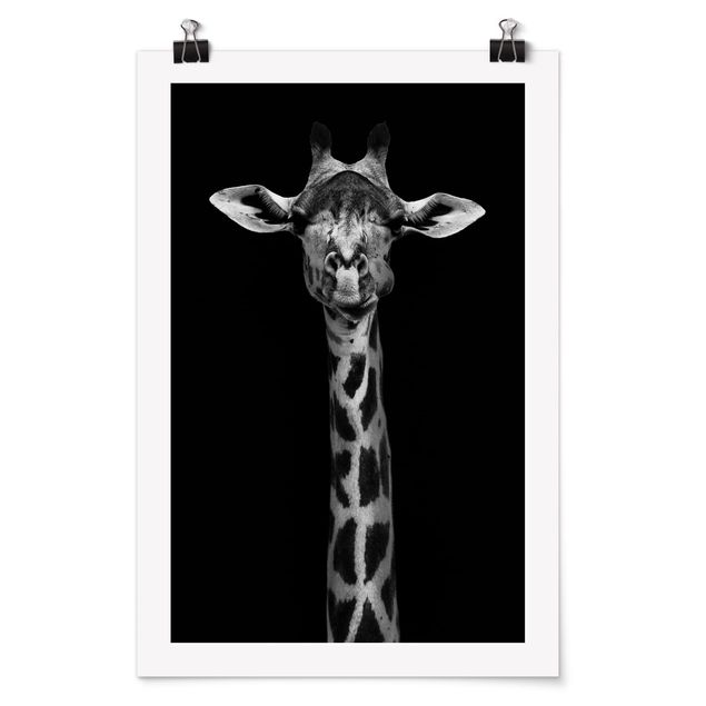 Posters animais Dark Giraffe Portrait