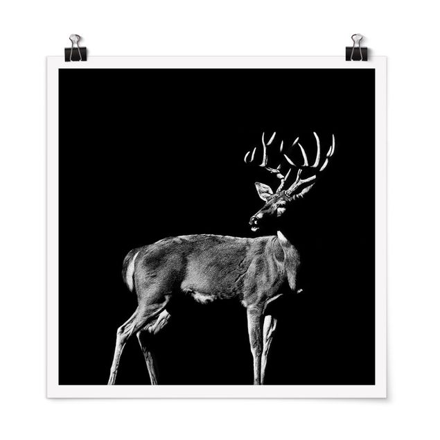 Posters em preto e branco Deer In The Dark