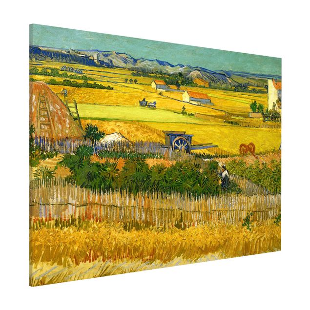 decoraçao cozinha Vincent Van Gogh - The Harvest