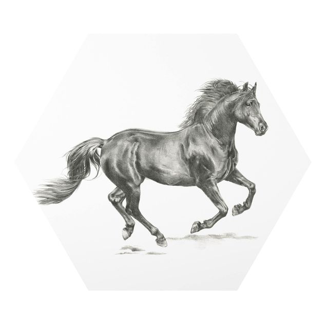 Quadros forex Wild Horse Trial - Stallion