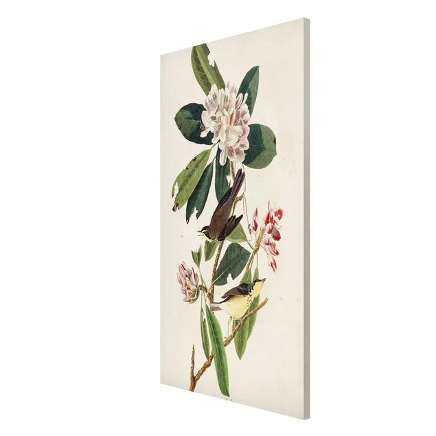 Quadros florais Vintage Board Warbler