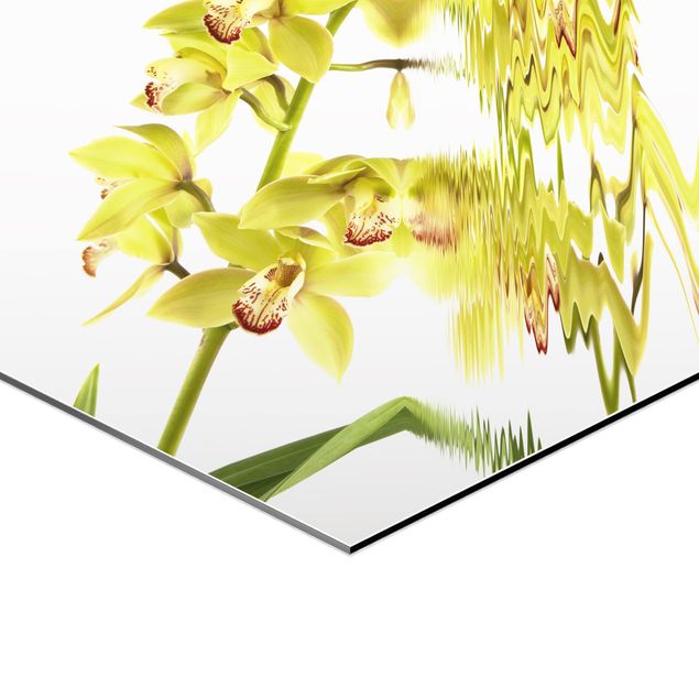Quadros hexagonais Elegant Orchid Waters