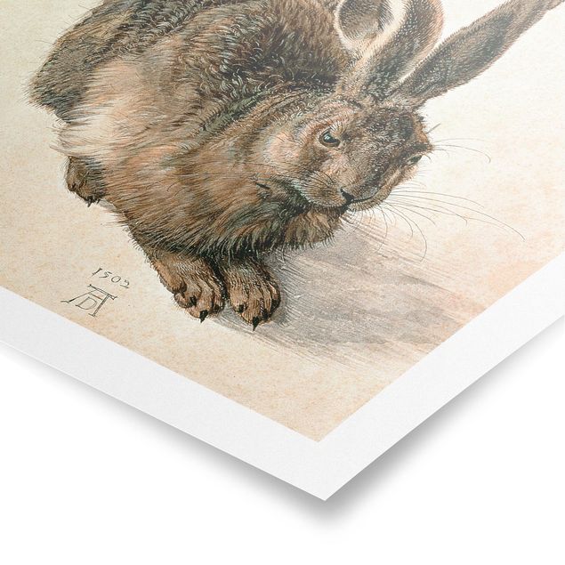 Posters vintage Albrecht Dürer - Young Hare