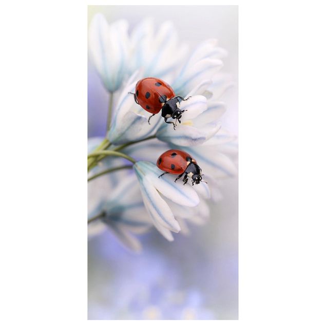 Divisórias de ambiente Ladybird Couple