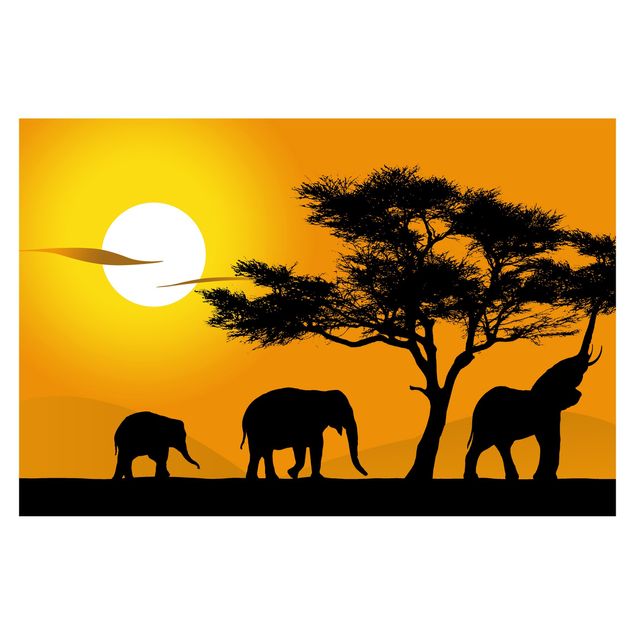 paisagens naturais papel de parede African Elephant Walk