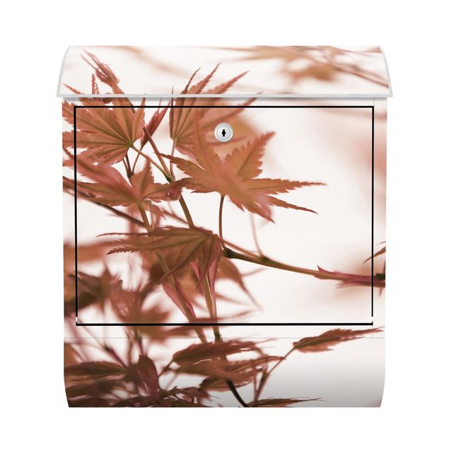 caixa de correio vermelha Maple Leaf In Autumn Sun
