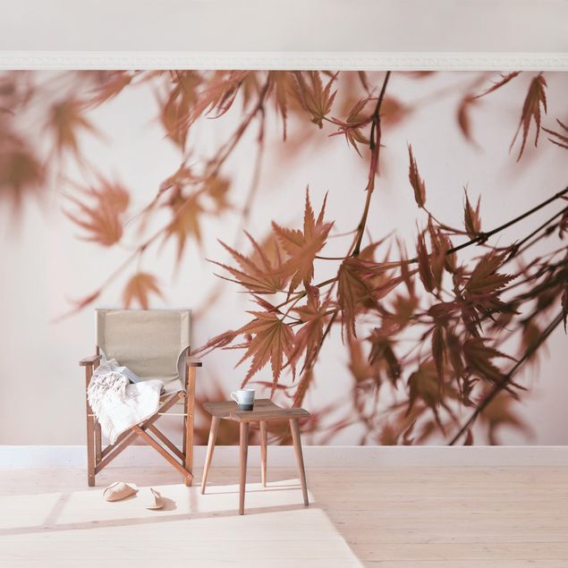 papel de parede para quarto de casal moderno Maple Leaf In Autumn Sun