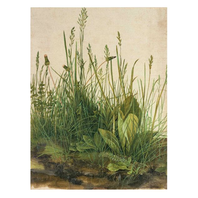 Quadros florais Albrecht Dürer - Great Piece Of Turf
