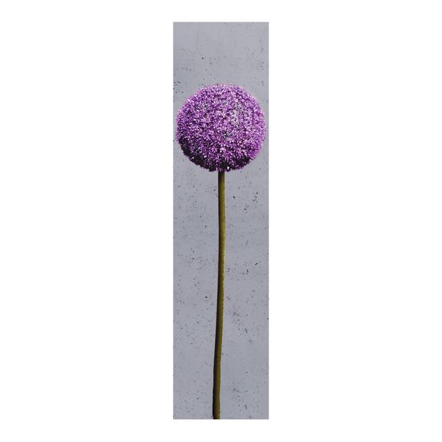 Painéis japoneses flores Allium Round-Headed Flower