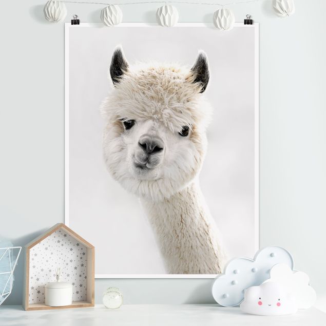 decoraçao para parede de cozinha Alpaca Portrait