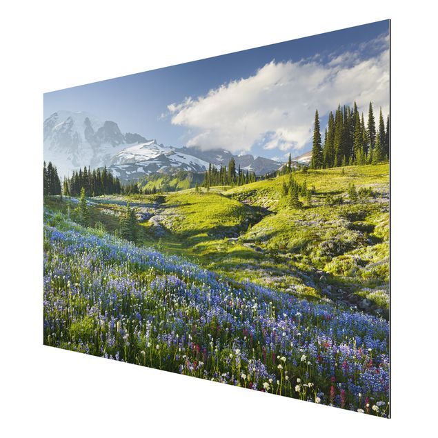 Quadros montanhas Mountain Meadow With Blue Flowers in Front of Mt. Rainier