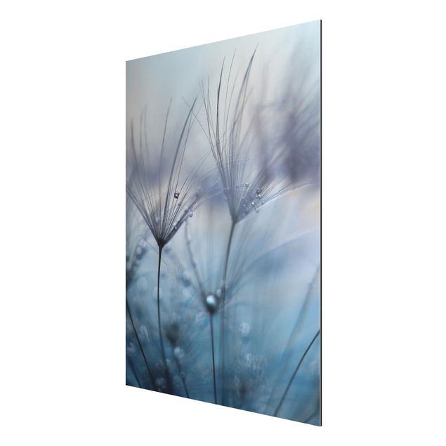 quadro com flores Blue Feathers In The Rain