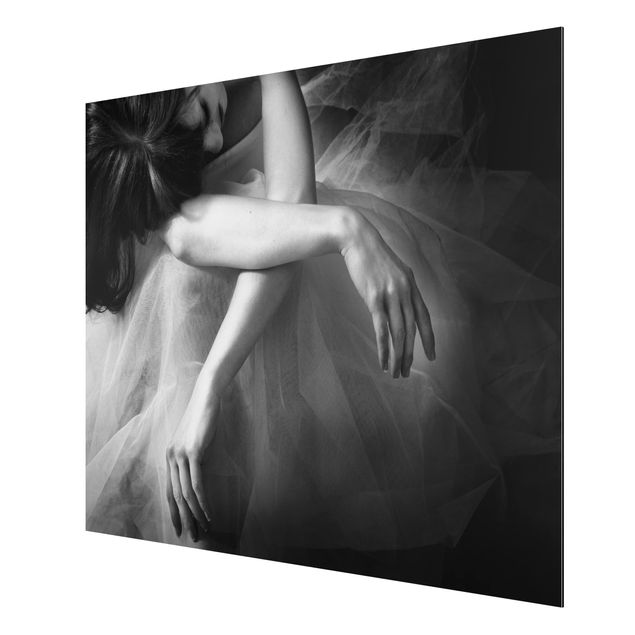 Quadros retratos The Hands Of A Ballerina