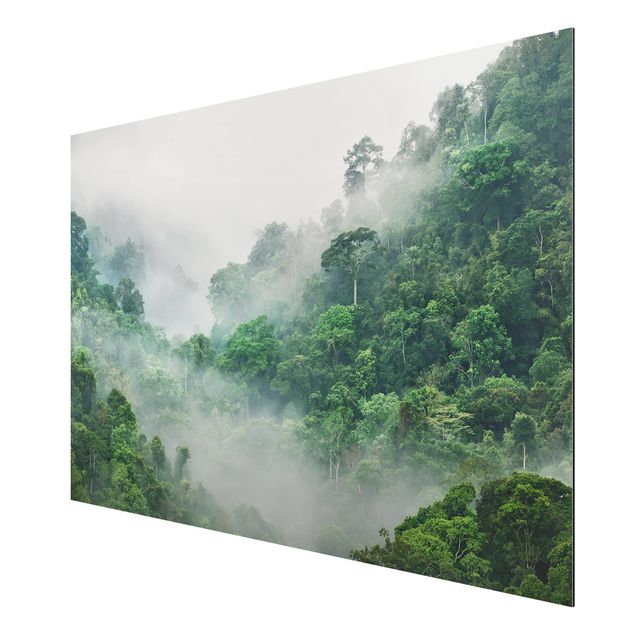 quadro com paisagens Jungle In The Fog