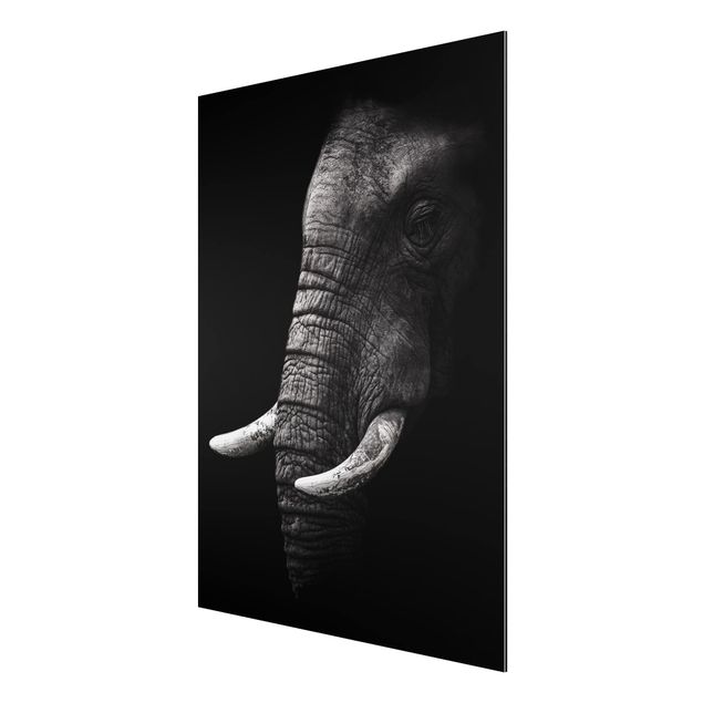 quadros de paisagens Dark Elephant Portrait