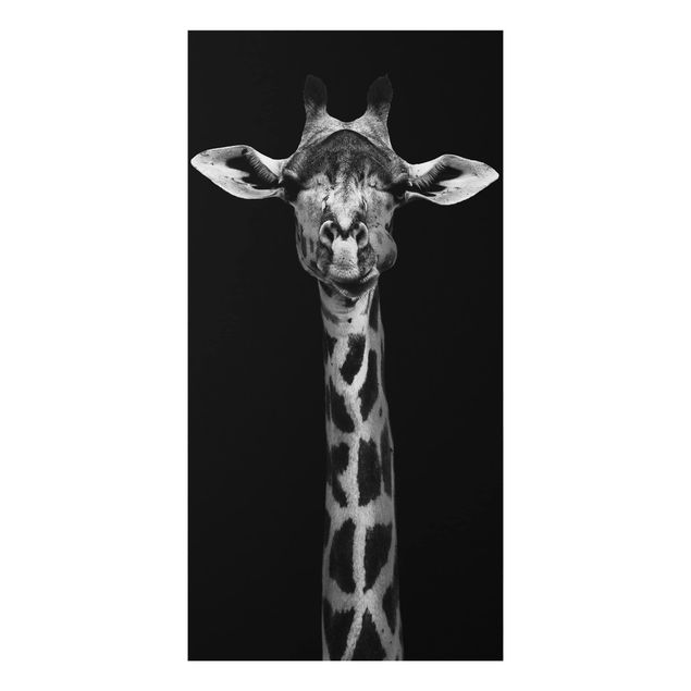 decoraçao cozinha Dark Giraffe Portrait