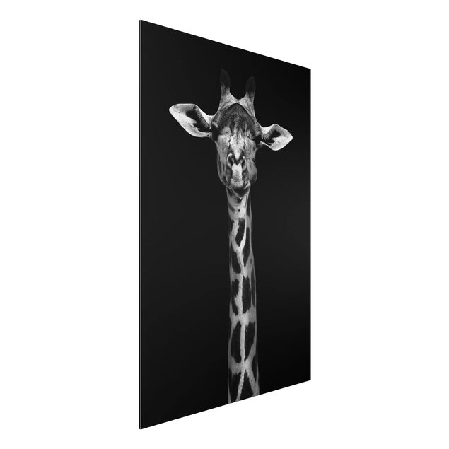 Quadros girafas Dark Giraffe Portrait