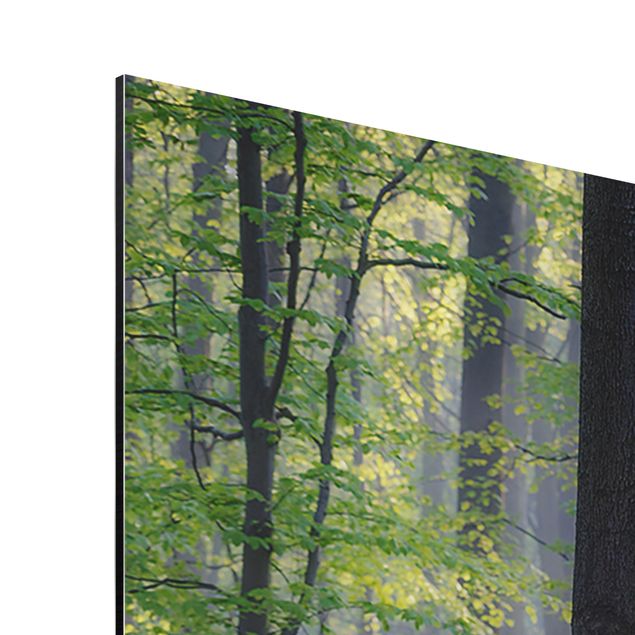 quadro com flores Spring Day In The Forest