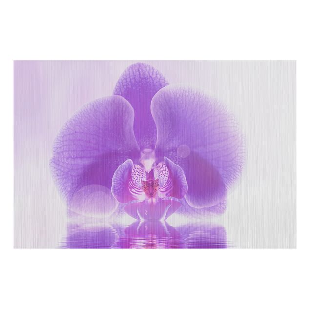 decoraçoes cozinha Purple Orchid On Water