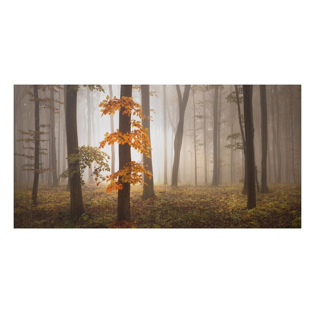 quadro de árvore November Forest
