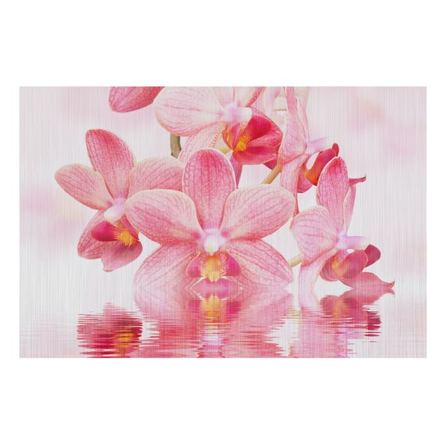 decoraçao para parede de cozinha Light Pink Orchid On Water