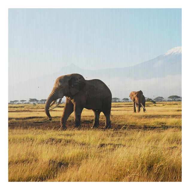 Quadros elefantes Elephants In Front Of The Kilimanjaro In Kenya