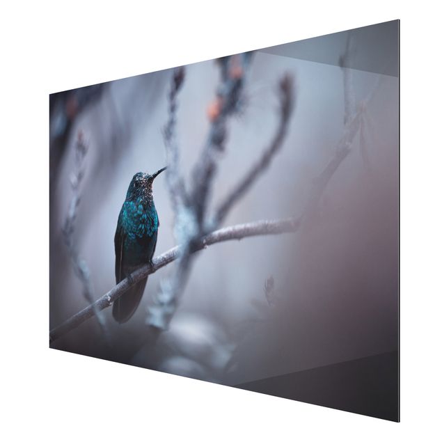 quadros decorativos para sala modernos Hummingbird In Winter