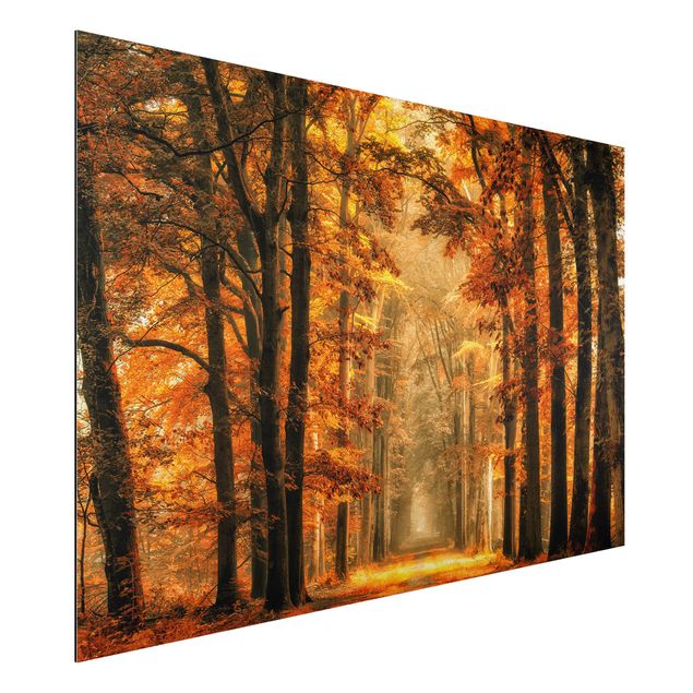 decoraçao para parede de cozinha Enchanted Forest In Autumn