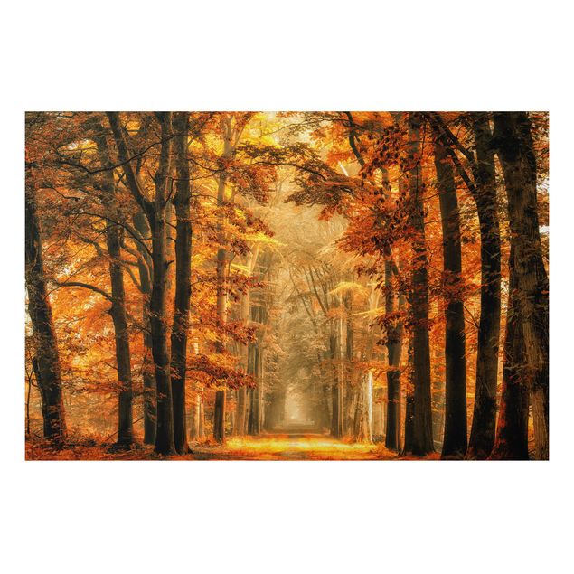 quadro com árvore Enchanted Forest In Autumn