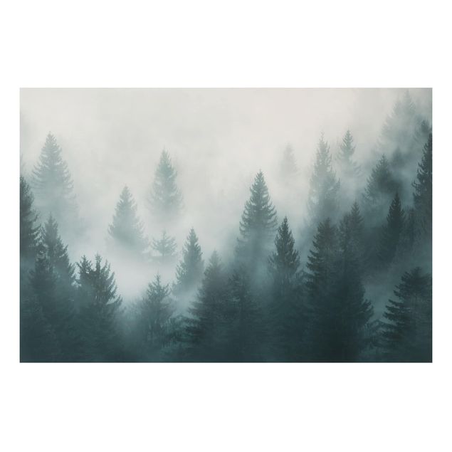 quadro de árvore Coniferous Forest In Fog