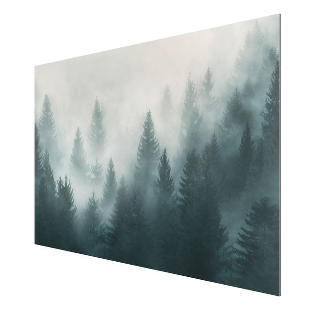 quadros de paisagens Coniferous Forest In Fog