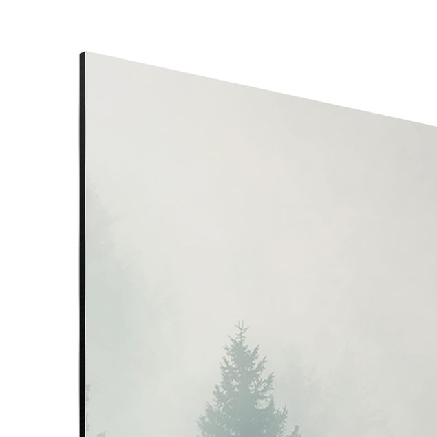 quadros decorativos para sala modernos Coniferous Forest In Fog